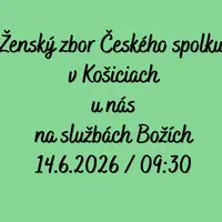 Ženský zbor Českého spolku u nás 